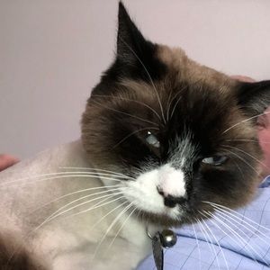 Meet your Posher, Robert